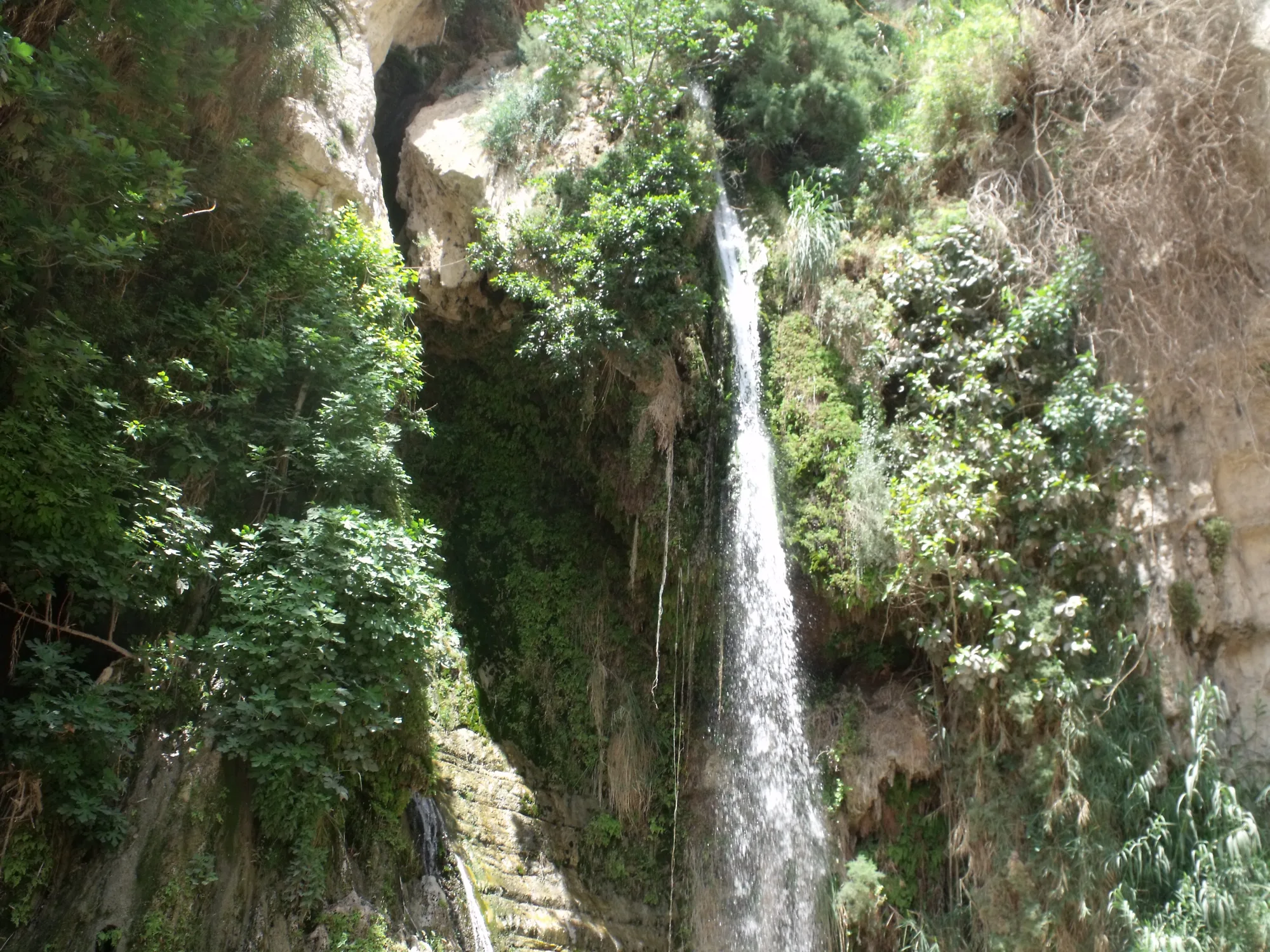 Waterfall in the Ein Gedi oasis